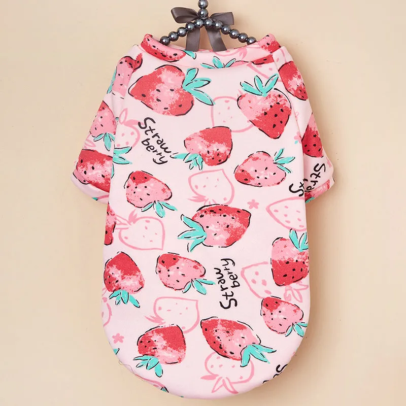 Pet dog clothes autumn cold-proof pet clothing