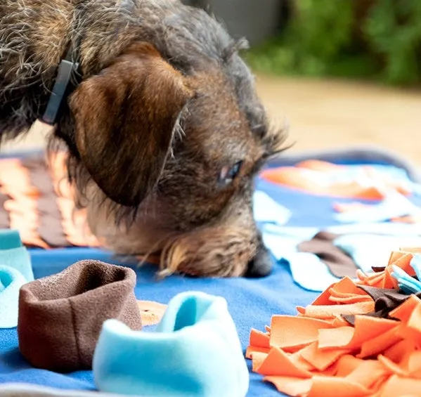 Pet Snuffle Mat