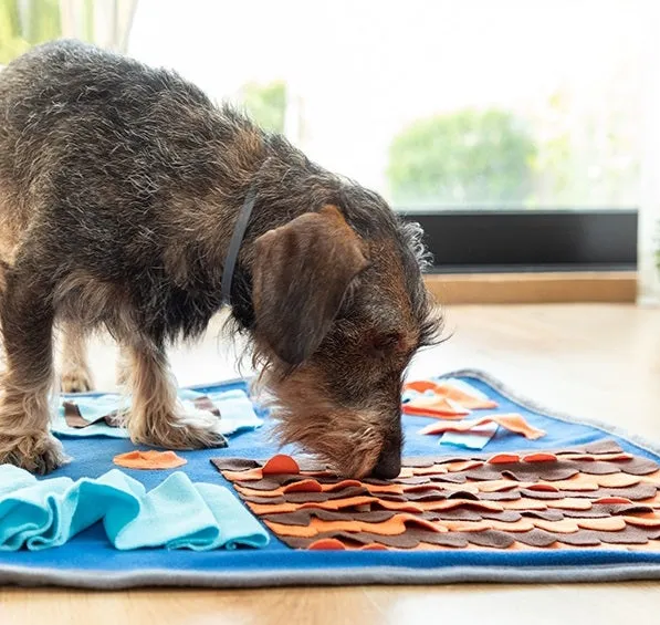 Pet Snuffle Mat