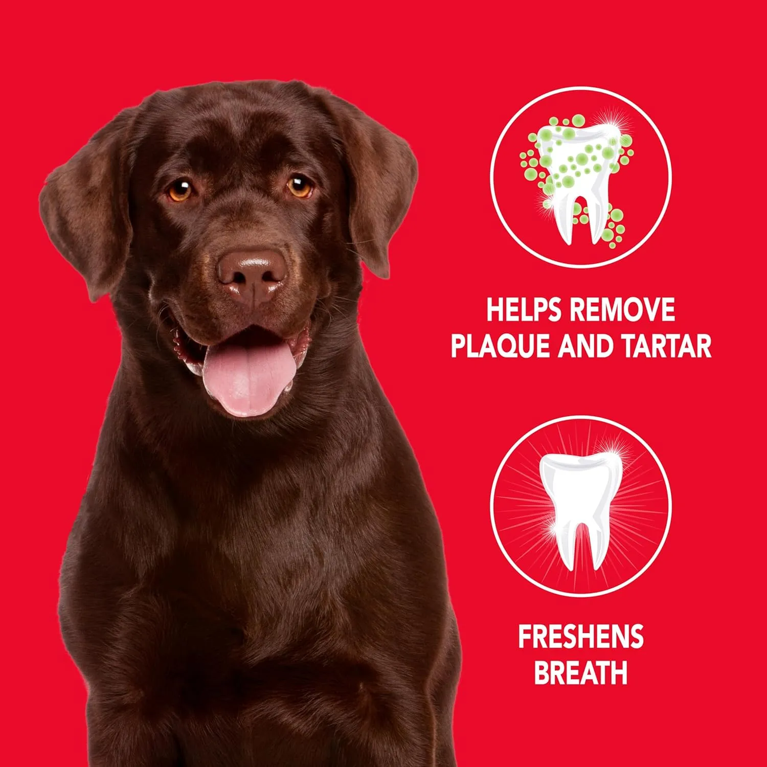 Petrodex Toothpaste for Dogs and Puppies, Cleans Teeth and Fights Bad Breath, Reduces Plaque and Tartar Formation, Enzymatic Toothpaste, Poultry Flavor, 2.5oz