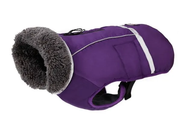 Polar Bear Full Coverage Winter Jacket