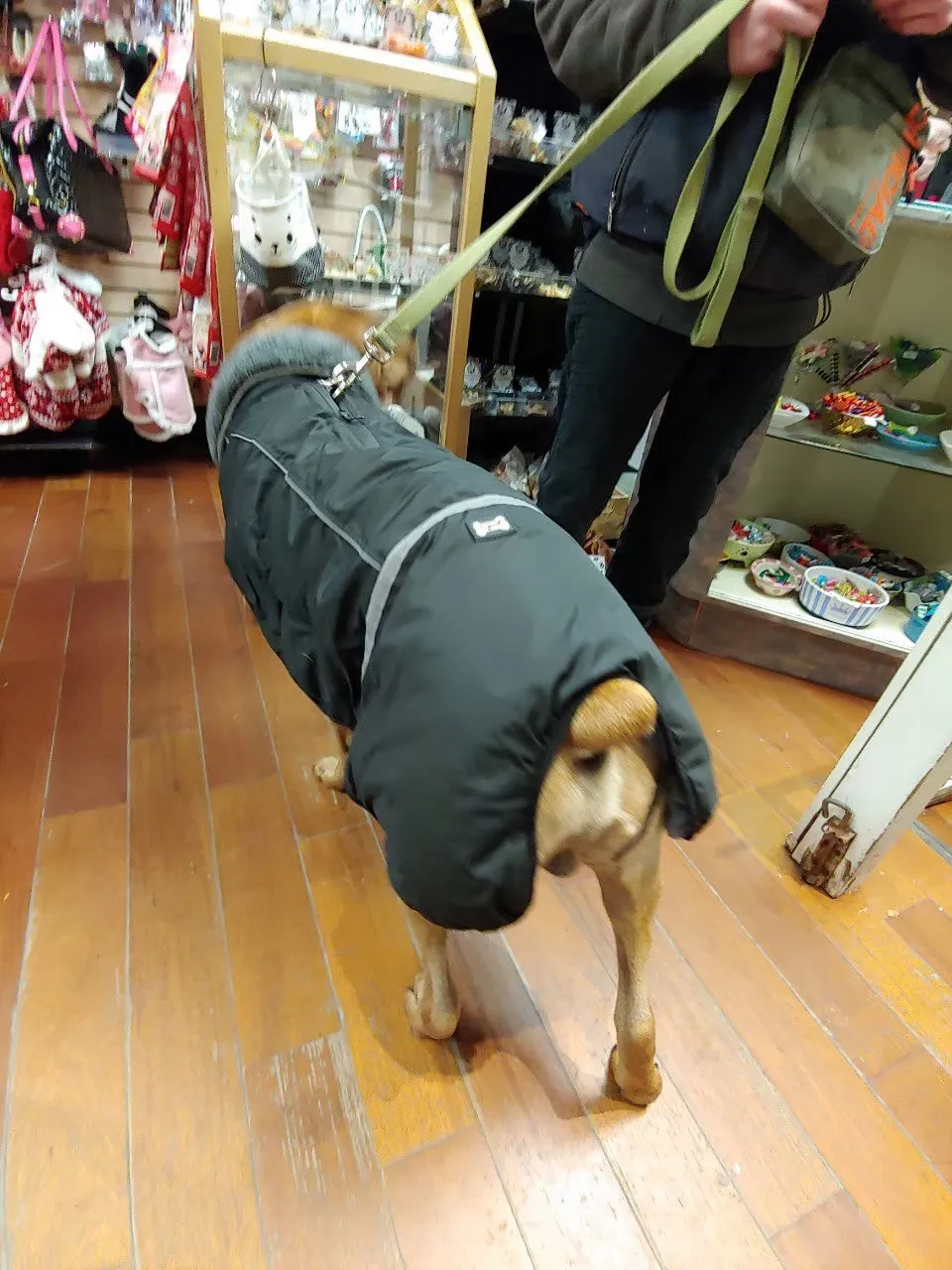 Polar Bear Full Coverage Winter Jacket