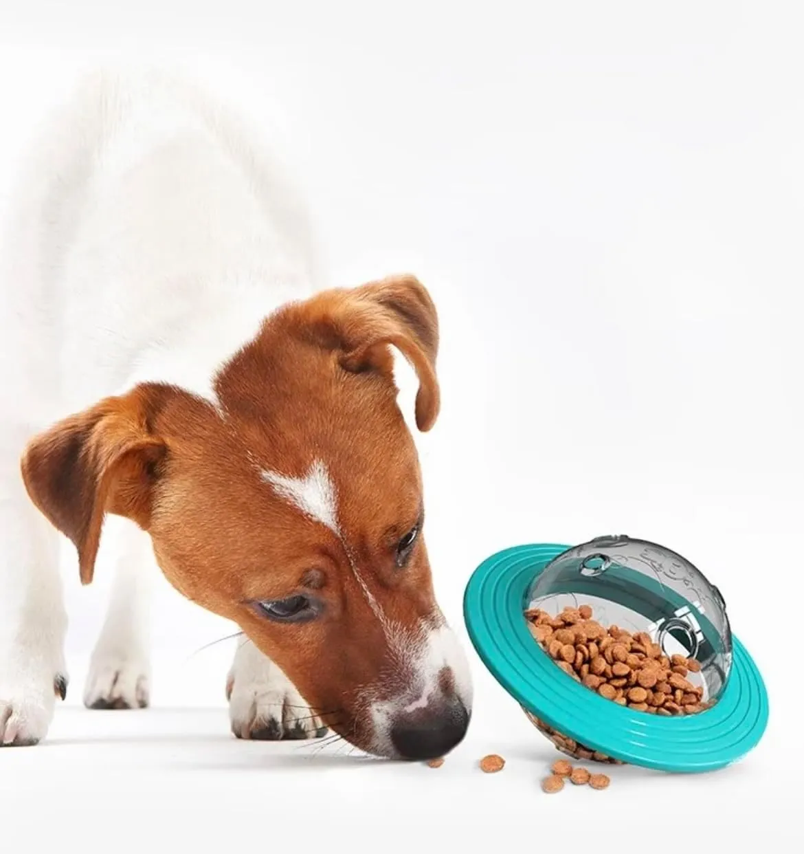 Puzzle Toys for Middle-Size Dogs , Nontoxic Bite-Resistant Dog Treat Feeder (MOQ: 10 Sets)