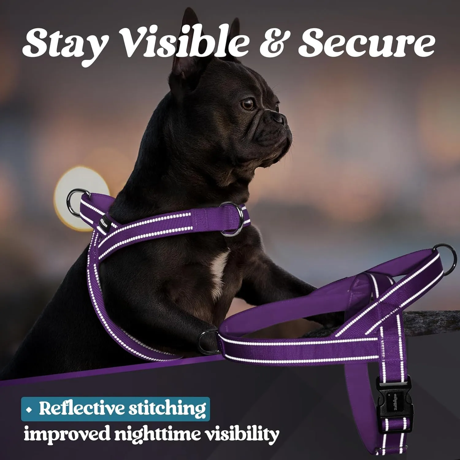 rabbitgoo Dog Harness No Pull, Quick Fit for Medium Sized Dog with Soft Padded Handle, Chest Adjustable Reflective Pet Vest, No Choke Escape Proof for Walking Training, Purple M