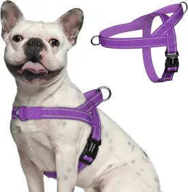 rabbitgoo Dog Harness No Pull, Quick Fit for Medium Sized Dog with Soft Padded Handle, Chest Adjustable Reflective Pet Vest, No Choke Escape Proof for Walking Training, Purple M
