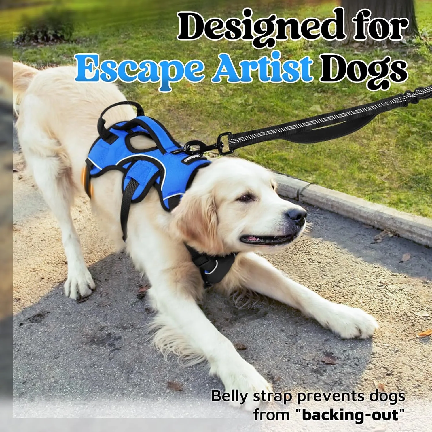 rabbitgoo Escape Proof Dog Harness, Soft Padded Full Body Pet Harness, Reflective Adjustable No Pull Vest with Lift Handle and Leash Clip for Large Dogs Walking Hiking Training, L, Blue