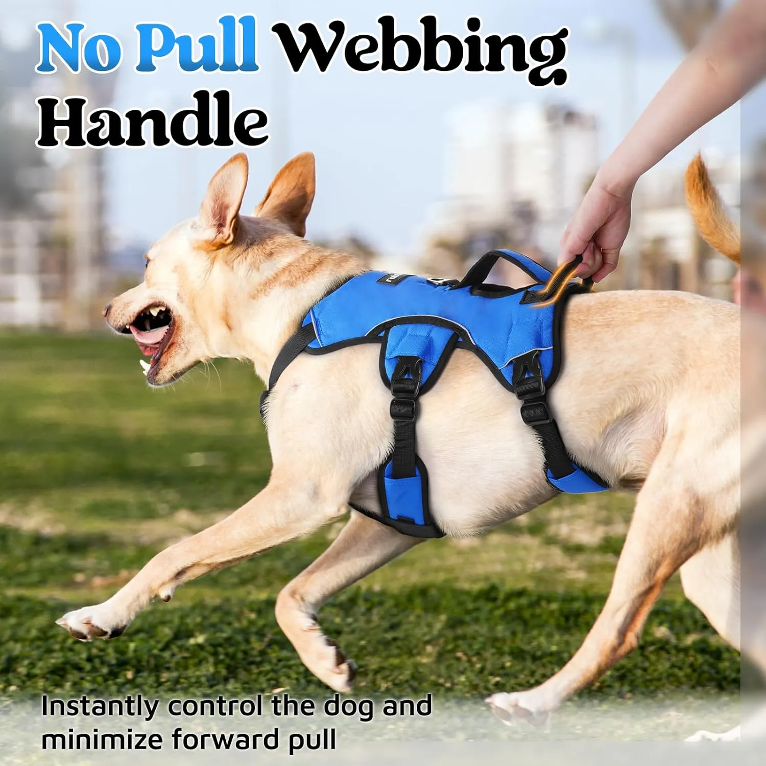 rabbitgoo Escape Proof Dog Harness, Soft Padded Full Body Pet Harness, Reflective Adjustable No Pull Vest with Lift Handle and Leash Clip for Large Dogs Walking Hiking Training, L, Blue