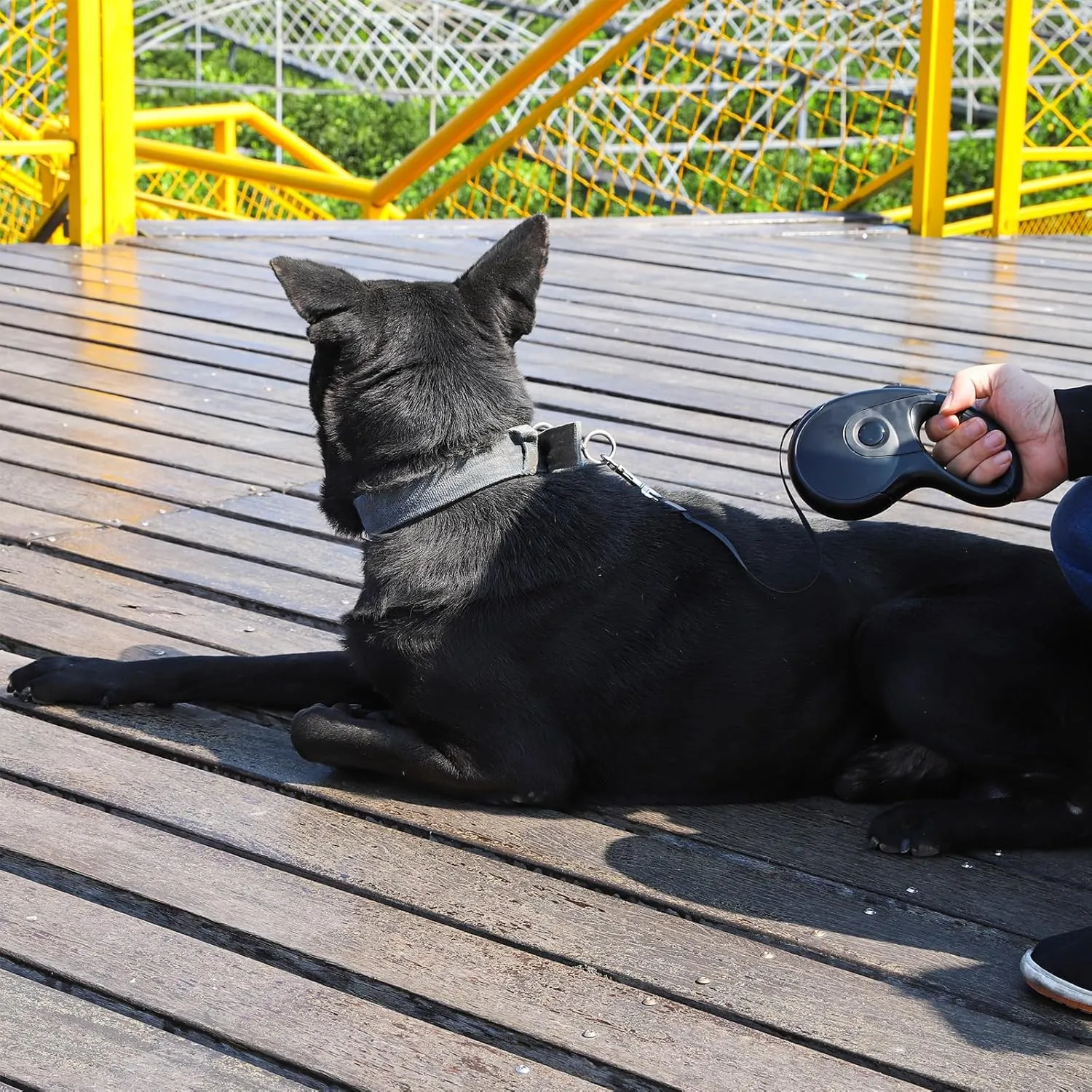Retractable Dog Leash with Anti-Slip Soft Grip 16 ft Heavy Duty Reflective Nylon Tape Lead for Pets up to 88lbs Long Dog Leash with Anti-Twist Protection One-Handed Quick-Lock Braking System (Black)