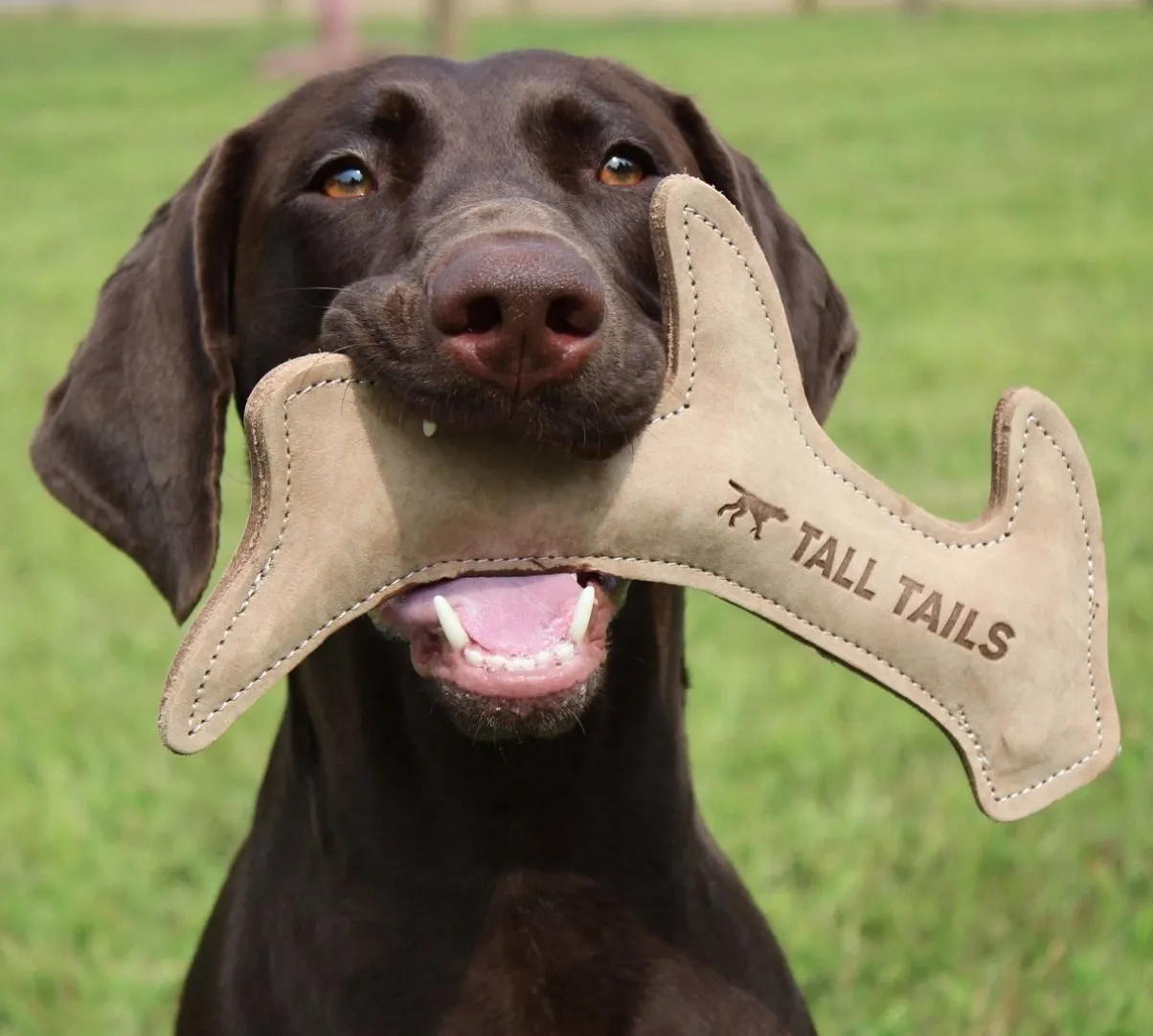 Tall Tails Leather11" Natural Leather Antler Toy