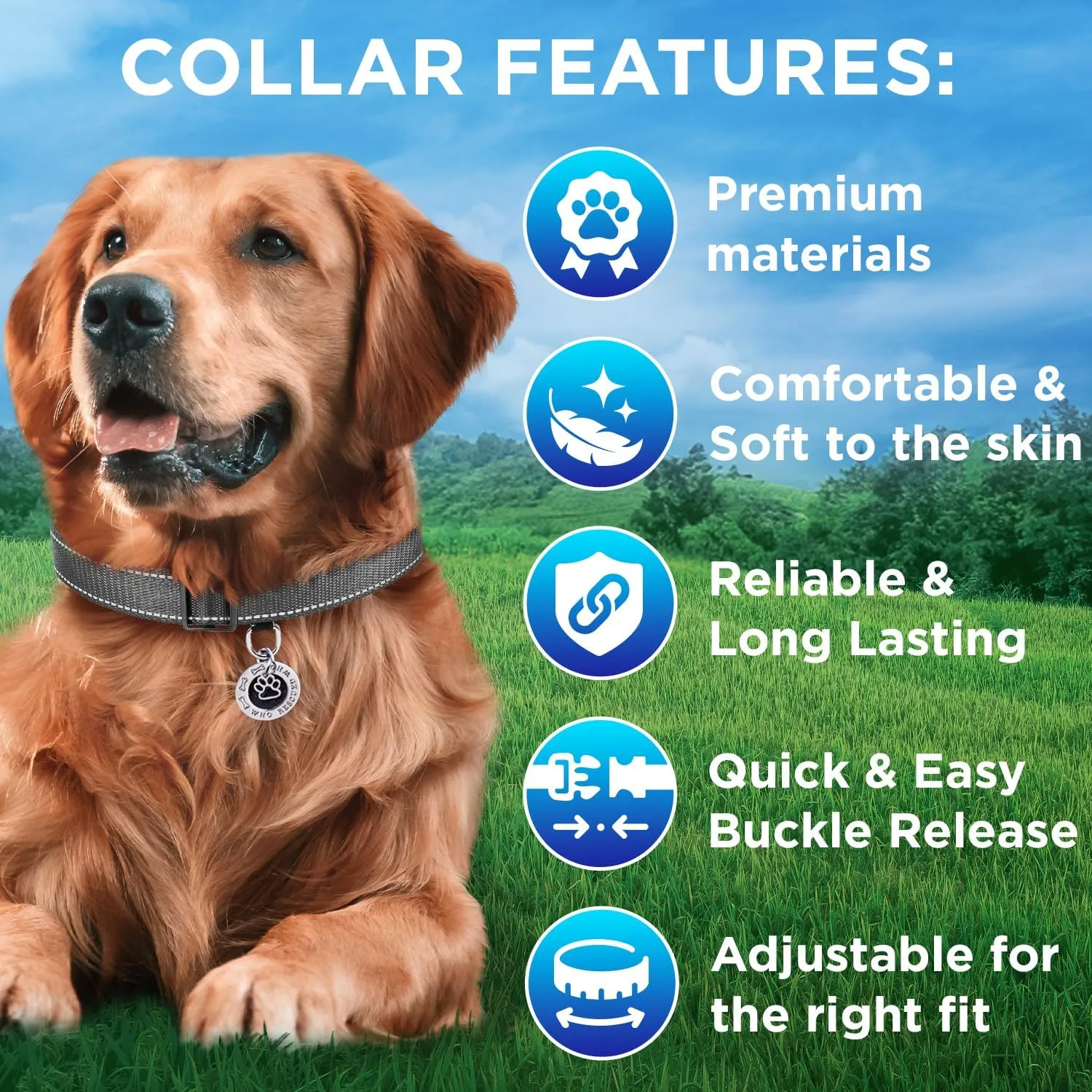 TECEUM Reflective Dog Collar  Gray  L  Extra Soft Padding  Basic Nylon Pet Collar  Quick Release Buckle  Fits Small, Medium and Large Dogs, Puppies, Cats  ESA & Service Dog Options