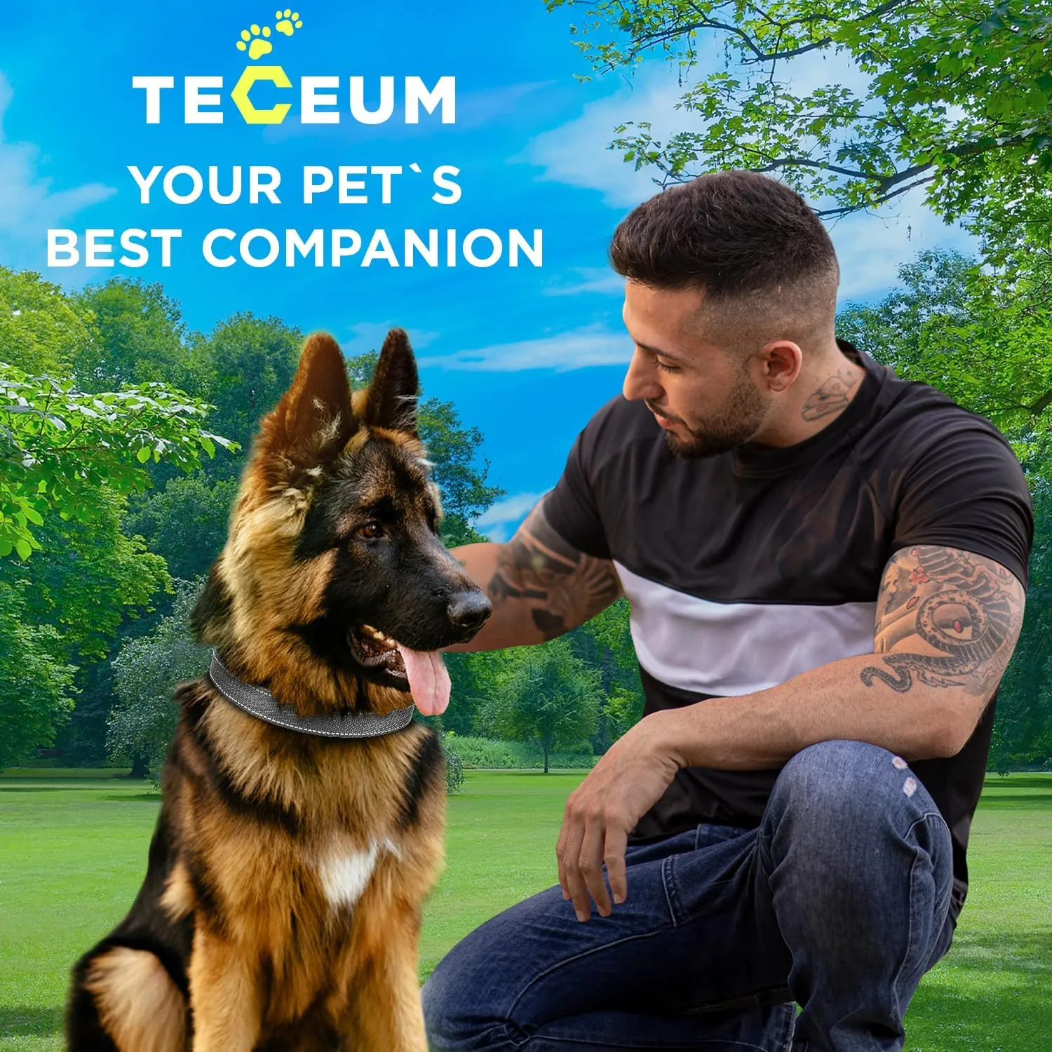 TECEUM Reflective Dog Collar  Gray  L  Extra Soft Padding  Basic Nylon Pet Collar  Quick Release Buckle  Fits Small, Medium and Large Dogs, Puppies, Cats  ESA & Service Dog Options