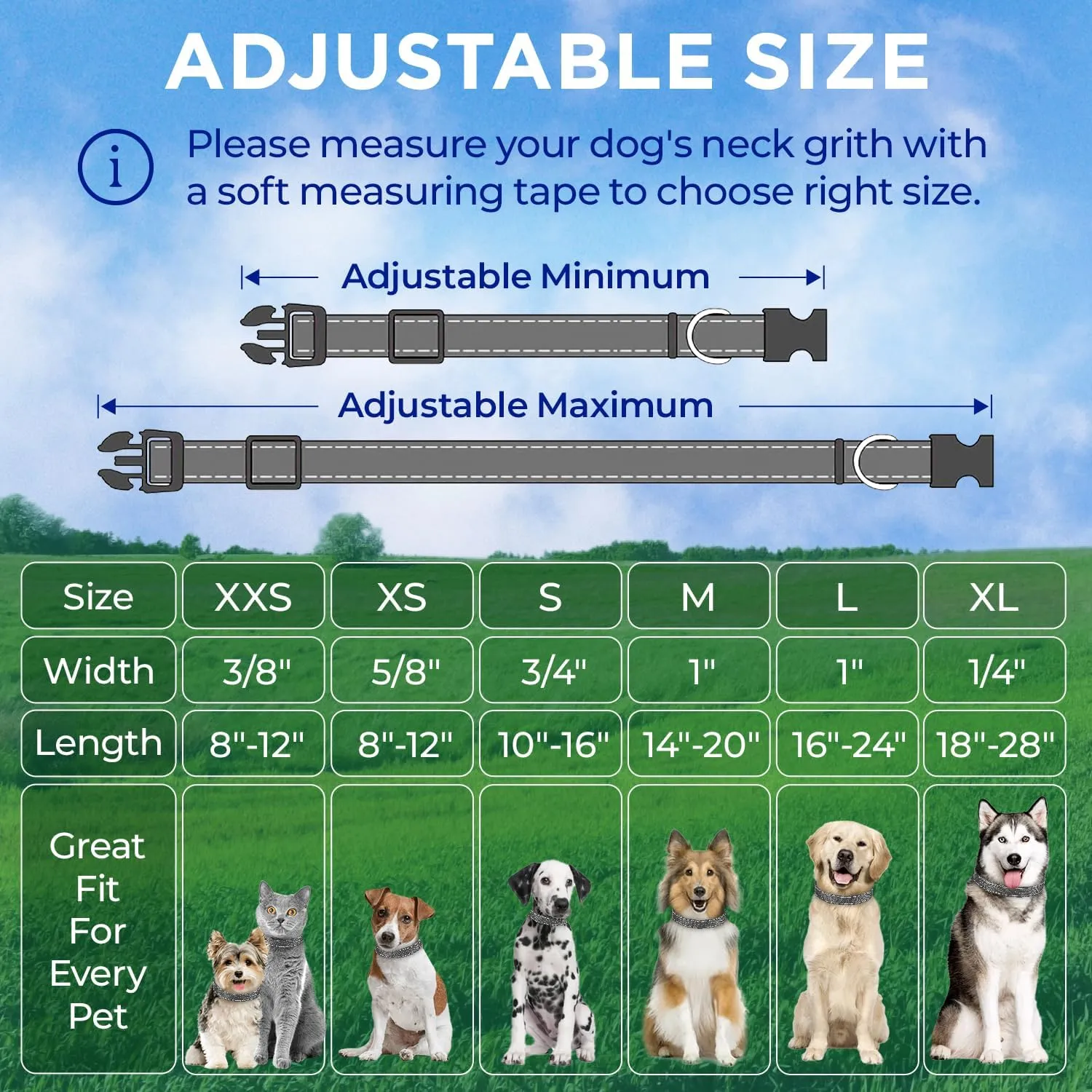 TECEUM Reflective Dog Collar  Gray  L  Extra Soft Padding  Basic Nylon Pet Collar  Quick Release Buckle  Fits Small, Medium and Large Dogs, Puppies, Cats  ESA & Service Dog Options