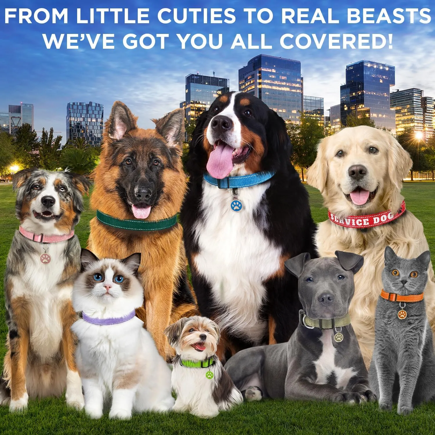 TECEUM Reflective Dog Collar  Gray  L  Extra Soft Padding  Basic Nylon Pet Collar  Quick Release Buckle  Fits Small, Medium and Large Dogs, Puppies, Cats  ESA & Service Dog Options