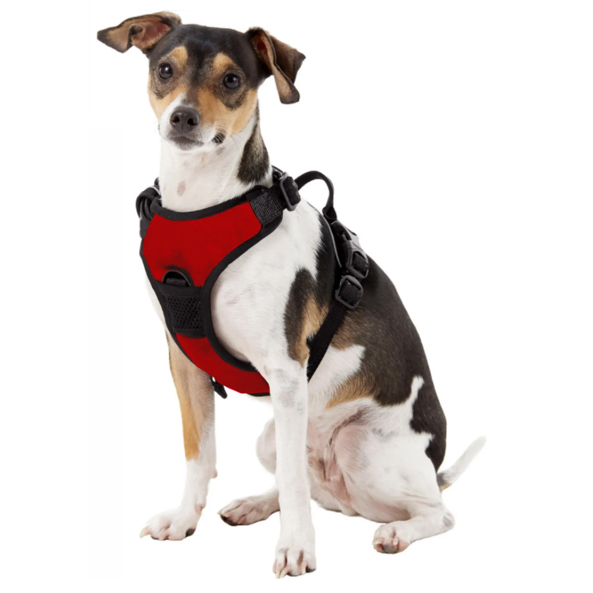 University of Nebraska Front Clip Pet Harness