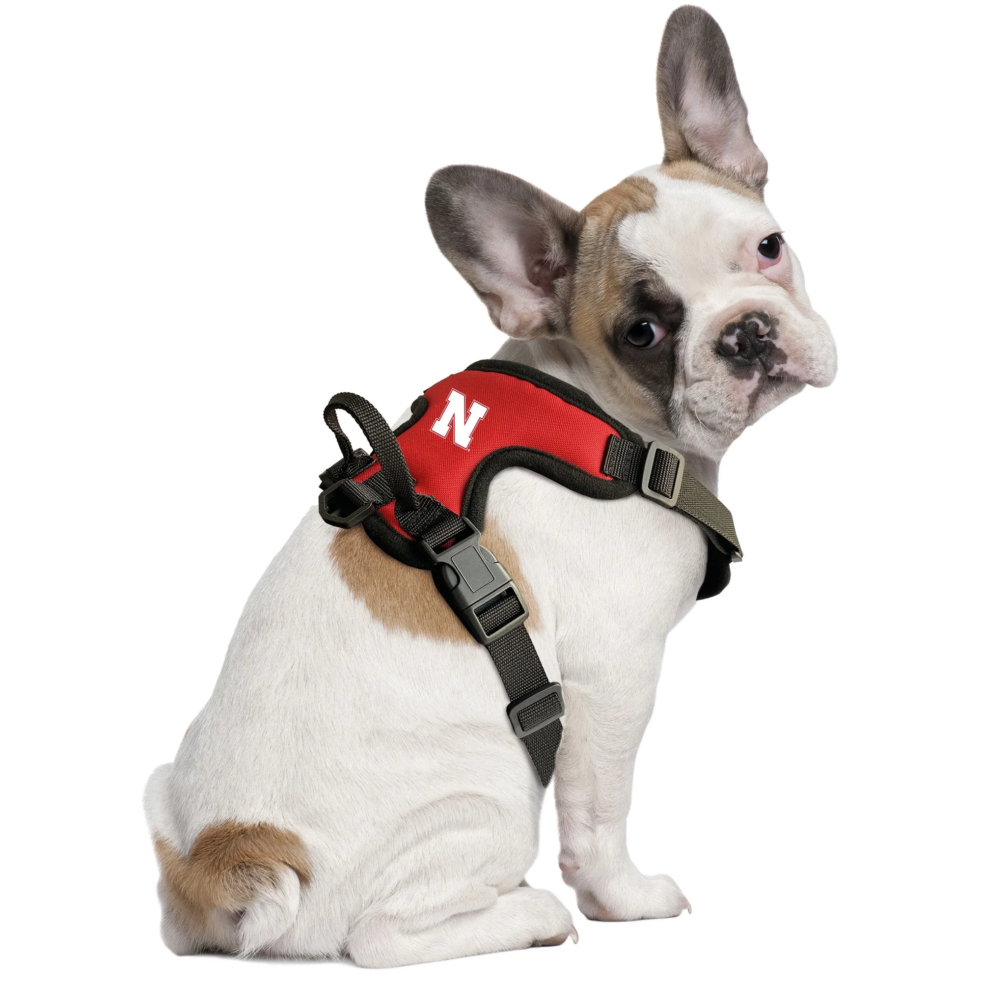University of Nebraska Front Clip Pet Harness