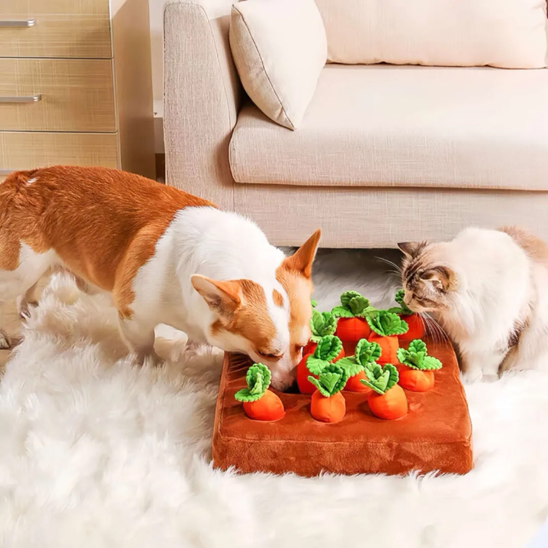 Vegetable Pet Chew Toy Dog Snuffle Rug
